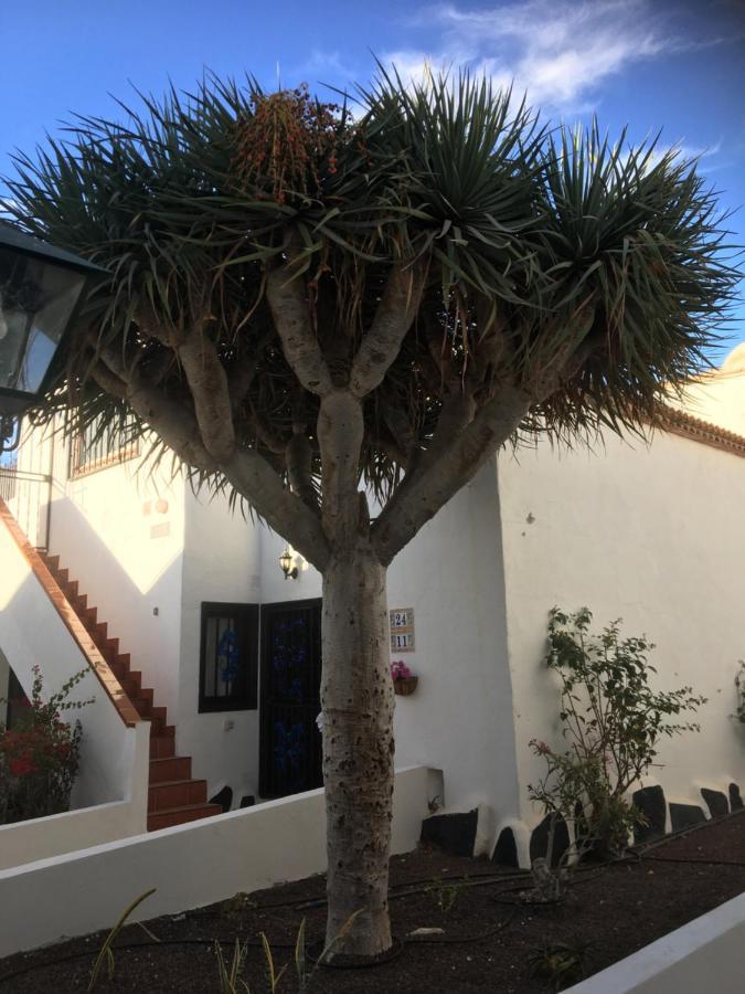 Tenerife Costa Del Silencio Dış mekan fotoğraf